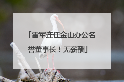 雷军连任金山办公名誉董事长！无薪酬