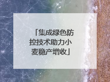 集成绿色防控技术助力小麦稳产增收