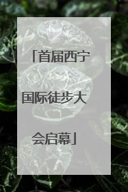 首届西宁国际徒步大会启幕