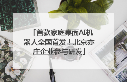 首款家庭桌面AI机器人全国首发！北京亦庄企业参与研发