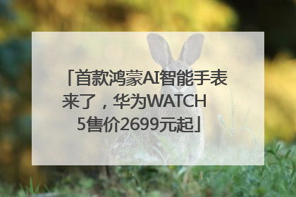 首款鸿蒙AI智能手表来了，华为WATCH 5售价2699元起