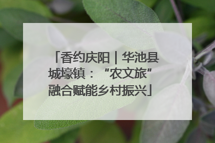 香约庆阳｜华池县城壕镇：“农文旅”融合赋能乡村振兴