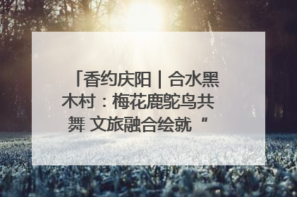 香约庆阳｜合水黑木村：梅花鹿鸵鸟共舞 文旅融合绘就“诗与远方”