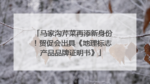 马家沟芹菜再添新身份！贸促会出具《地理标志产品品牌证明书》