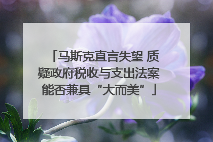 马斯克直言失望 质疑政府税收与支出法案能否兼具“大而美”