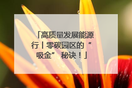 高质量发展能源行丨零碳园区的“吸金” 秘诀！