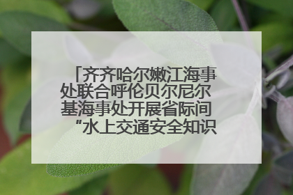 齐齐哈尔嫩江海事处联合呼伦贝尔尼尔基海事处开展省际间“水上交通安全知识进校园”活动