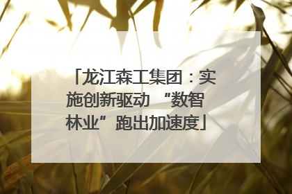 龙江森工集团：实施创新驱动 “数智林业”跑出加速度