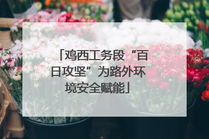 鸡西工务段“百日攻坚”为路外环境安全赋能