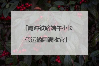 鹰潭铁路端午小长假运输圆满收官