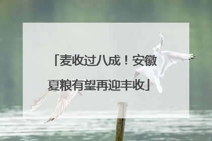 麦收过八成！安徽夏粮有望再迎丰收