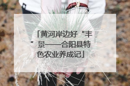 黄河岸边好“丰”景——合阳县特色农业养成记