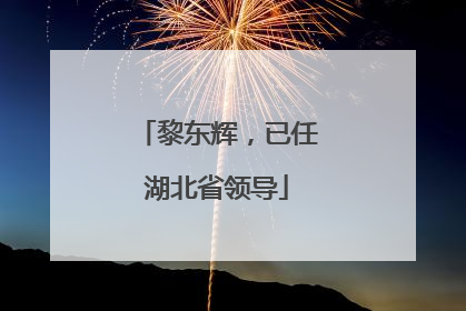黎东辉，已任湖北省领导