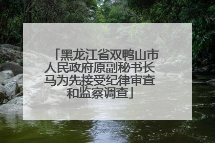 黑龙江省双鸭山市人民政府原副秘书长马为先接受纪律审查和监察调查