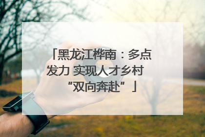 黑龙江桦南：多点发力 实现人才乡村“双向奔赴”