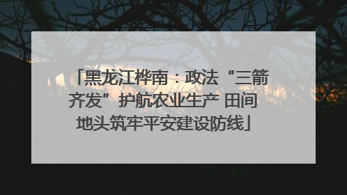 黑龙江桦南：政法“三箭齐发”护航农业生产 田间地头筑牢平安建设防线