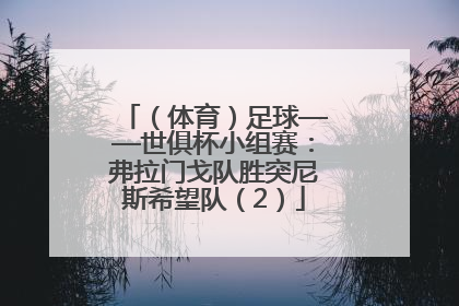 （体育）足球——世俱杯小组赛：弗拉门戈队胜突尼斯希望队（2）