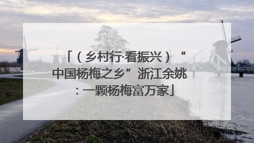 （乡村行·看振兴）“中国杨梅之乡”浙江余姚：一颗杨梅富万家