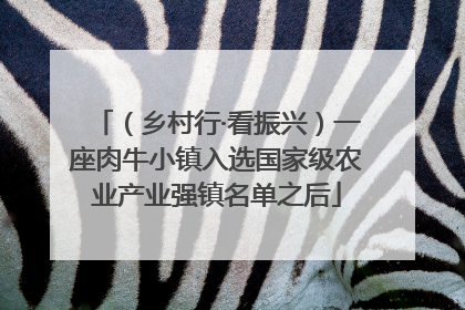 （乡村行·看振兴）一座肉牛小镇入选国家级农业产业强镇名单之后