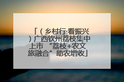 （乡村行·看振兴）广西钦州荔枝集中上市 “荔枝+农文旅融合”助农增收
