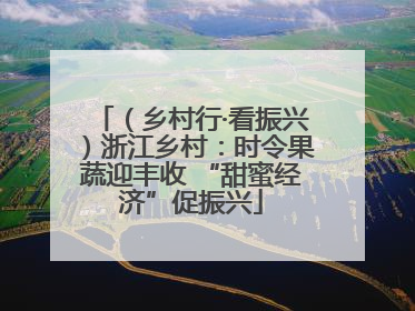 （乡村行·看振兴）浙江乡村：时令果蔬迎丰收 “甜蜜经济”促振兴