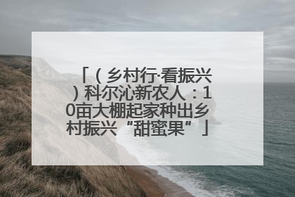 （乡村行·看振兴）科尔沁新农人：10亩大棚起家种出乡村振兴“甜蜜果”