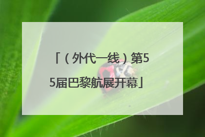 （外代一线）第55届巴黎航展开幕