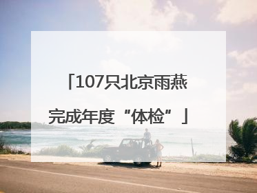 107只北京雨燕完成年度“体检”