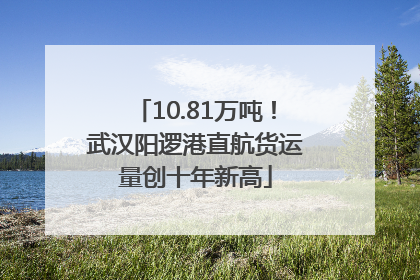 10.81万吨！武汉阳逻港直航货运量创十年新高