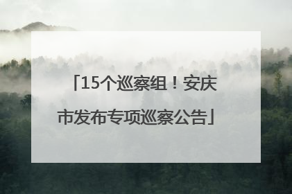 15个巡察组！安庆市发布专项巡察公告