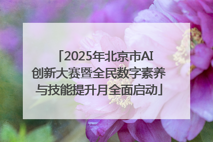 2025年北京市AI创新大赛暨全民数字素养与技能提升月全面启动