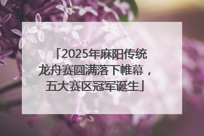 2025年麻阳传统龙舟赛圆满落下帷幕，五大赛区冠军诞生