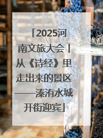 2025河南文旅大会丨从《诗经》里走出来的景区——溱洧水城开街迎宾
