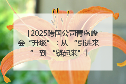 2025跨国公司青岛峰会“升级”：从 “引进来” 到 “链起来”