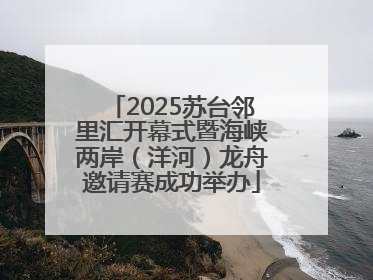2025苏台邻里汇开幕式暨海峡两岸（洋河）龙舟邀请赛成功举办