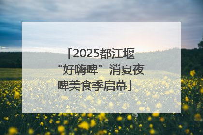 2025都江堰“好嗨啤”消夏夜啤美食季启幕