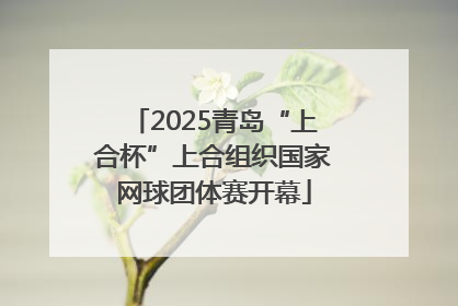 2025青岛“上合杯”上合组织国家网球团体赛开幕