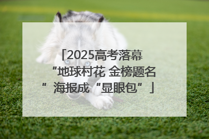 2025高考落幕 “地球村花 金榜题名”海报成“显眼包”