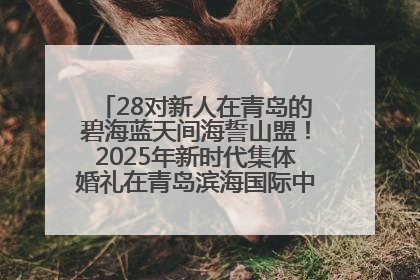 28对新人在青岛的碧海蓝天间海誓山盟！2025年新时代集体婚礼在青岛滨海国际中心文明实践广场举行
