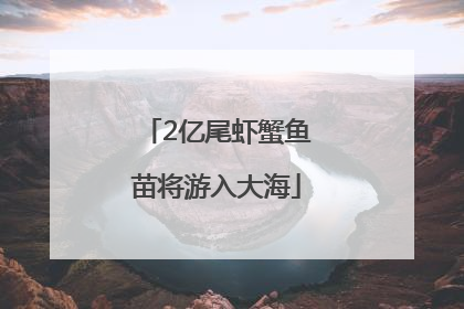 2亿尾虾蟹鱼苗将游入大海