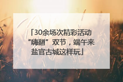 30余场次精彩活动“嗨翻”双节，端午来盐官古城这样玩