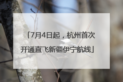 7月4日起，杭州首次开通直飞新疆伊宁航线