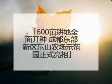 600亩耕地全面开种 成都东部新区东山农场示范园正式亮相