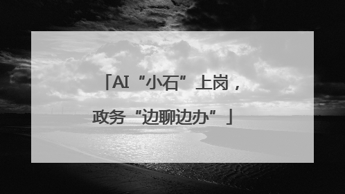 AI“小石”上岗，政务“边聊边办”