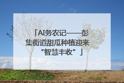 AI务农记——彭集街道甜瓜种植迎来“智慧丰收”
