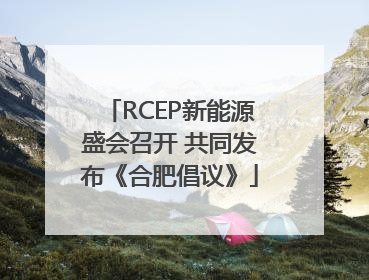 RCEP新能源盛会召开 共同发布《合肥倡议》